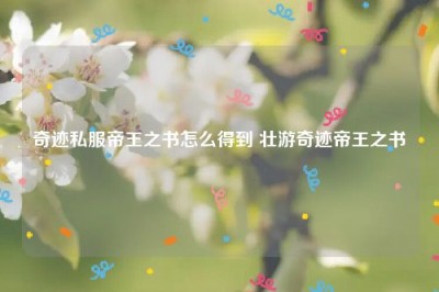 奇迹私服帝王之书怎么得到 壮游奇迹帝王之书