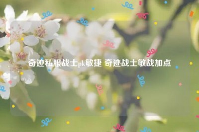 奇迹私服战士pk敏捷 奇迹战士敏战加点