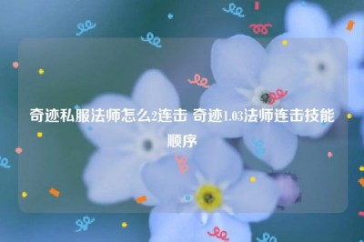 奇迹私服法师怎么2连击 奇迹1.03法师连击技能顺序