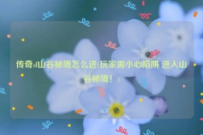 传奇sf山谷秘境怎么进(玩家需小心陷阱 进入山谷秘境！)