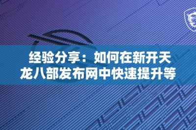 经验分享：如何在新开天龙八部发布网中快速提升等级