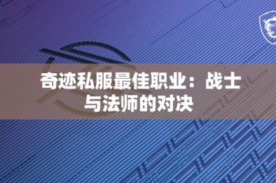 奇迹私服最佳职业：战士与法师的对决