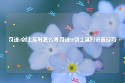 奇迹sf剑士延时怎么调,奇迹SF剑士延时设置技巧