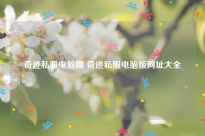 奇迹私服电脑端 奇迹私服电脑版网址大全