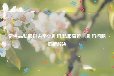 奇迹mu私服进去字体乱码,私服奇迹mu乱码问题重新解决