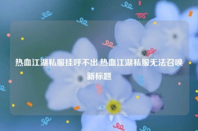 热血江湖私服挂呼不出,热血江湖私服无法召唤新标题