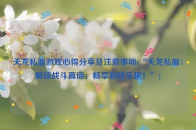 天龙私服游戏心得分享及注意事项(“天龙私服：解锁战斗真谛，畅享游戏乐趣！”)