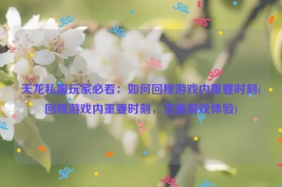 天龙私服玩家必看：如何回程游戏内重要时刻(回程游戏内重要时刻，注重游戏体验)