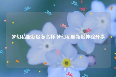 梦幻私服新区怎么样,梦幻私服新区体验分享