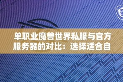 单职业魔兽世界私服与官方服务器的对比：选择适合自己的游戏世界