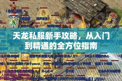 天龙私服新手攻略，从入门到精通的全方位指南