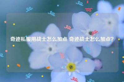 奇迹私服用战士怎么加点 奇迹战士怎么加点？