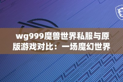 wg999魔兽世界私服与原版游戏对比：一场魔幻世界的冒险之旅