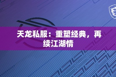 天龙私服：重塑经典，再续江湖情