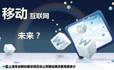 一般上海专业网站建设绿深设公司网站建设费用要多少