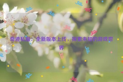 奇迹私服：全新版本上线，探索未知的游戏世界