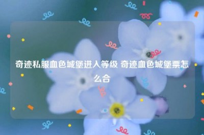 奇迹私服血色城堡进入等级 奇迹血色城堡票怎么合