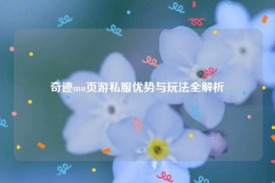 奇迹mu页游私服优势与玩法全解析