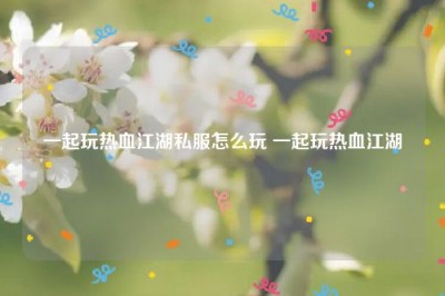 一起玩热血江湖私服怎么玩 一起玩热血江湖