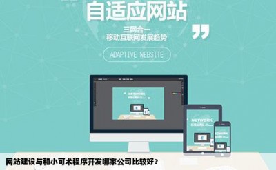 网站建设与和小可术程序开发哪家公司比较好？