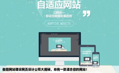 衡阳网站建设网页设计公司大揭秘，总有一款适合你的网站！