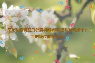 天龙私服调整灵敏度视频教程(提升游戏操作水平的绝佳教程分享)