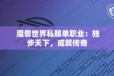 魔兽世界私服单职业：独步天下，成就传奇