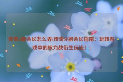 传奇sf副会长怎么弄(传奇SF副会长指南：玩转游戏中的权力战衍生玩法！)