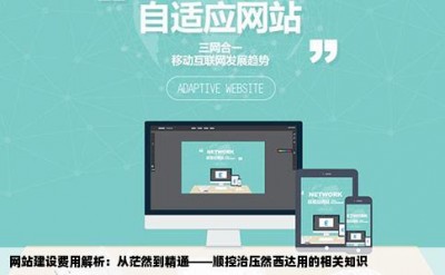 网站建设费用解析：从茫然到精通——顺控治压然西达用的相关知识