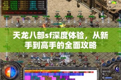 天龙八部sf深度体验，从新手到高手的全面攻略