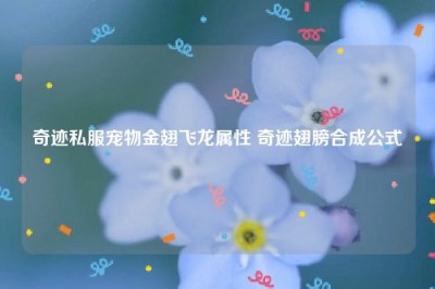 奇迹私服宠物金翅飞龙属性 奇迹翅膀合成公式