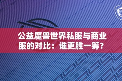 公益魔兽世界私服与商业服的对比：谁更胜一筹？