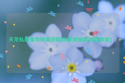 天龙私服鬼市碎银获取攻略(越级游戏新体验！)