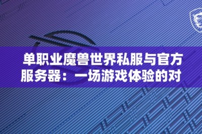 单职业魔兽世界私服与官方服务器：一场游戏体验的对比之战