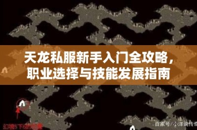 天龙私服新手入门全攻略，职业选择与技能发展指南