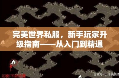 完美世界私服，新手玩家升级指南——从入门到精通