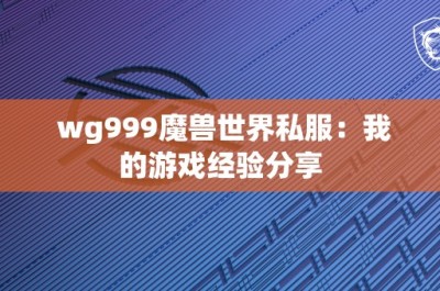 wg999魔兽世界私服：我的游戏经验分享