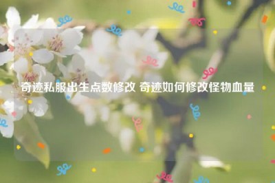 奇迹私服出生点数修改 奇迹如何修改怪物血量