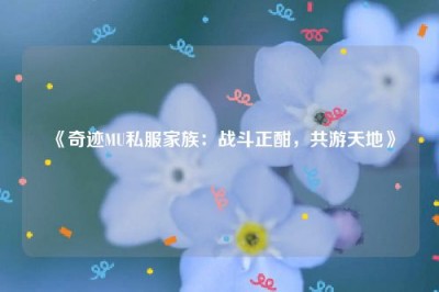 《奇迹MU私服家族：战斗正酣，共游天地》