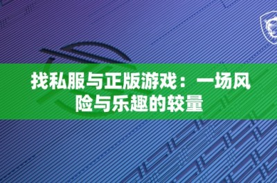 找私服与正版游戏：一场风险与乐趣的较量