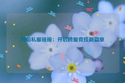 烈焰私服链接：开启跨服竞技新篇章