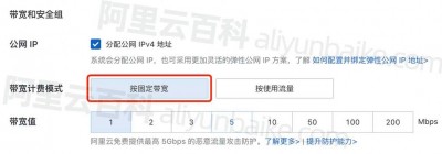 稳爱云：香港CN2 GIA线路VPS，可弹性配置，1-20Mbps带宽，30元/月起