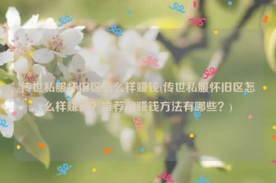 传世私服怀旧区怎么样赚钱(传世私服怀旧区怎么样赚钱？推荐的赚钱方法有哪些？)