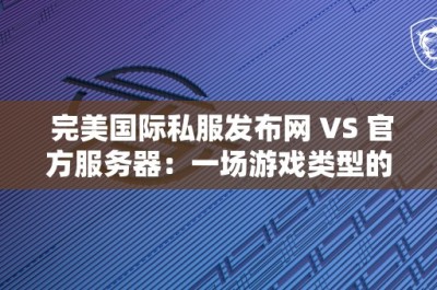 完美国际私服发布网 VS 官方服务器：一场游戏类型的较量