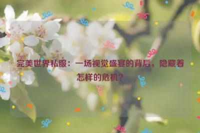 完美世界私服：一场视觉盛宴的背后，隐藏着怎样的危机？