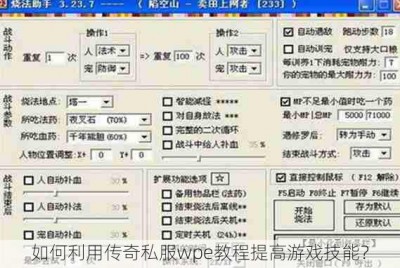 如何利用传奇私服wpe教程提高游戏技能？