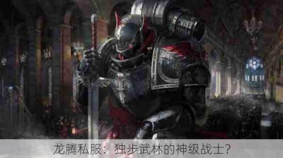 龙腾私服：独步武林的神级战士？