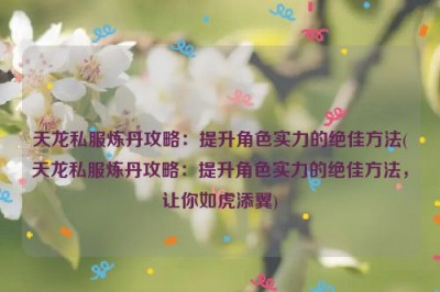 天龙私服炼丹攻略：提升角色实力的绝佳方法(天龙私服炼丹攻略：提升角色实力的绝佳方法，让你如虎添翼)