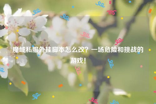 魔域私服外挂脚本怎么改？一场危险和挑战的游戏！