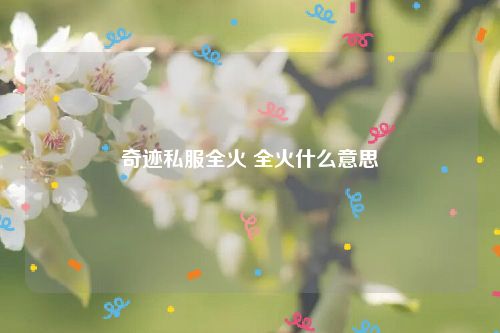 奇迹私服全火 全火什么意思